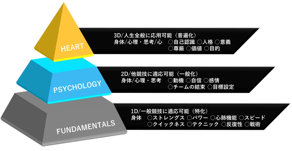 3Dコーチング